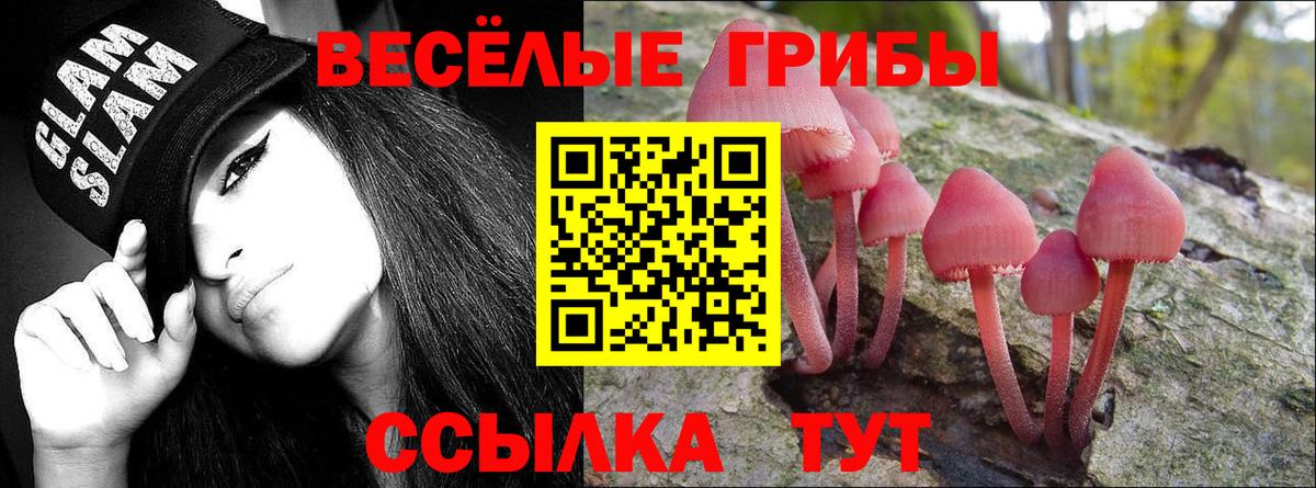 Галлюциногенные грибы мицелий Новосибирск
