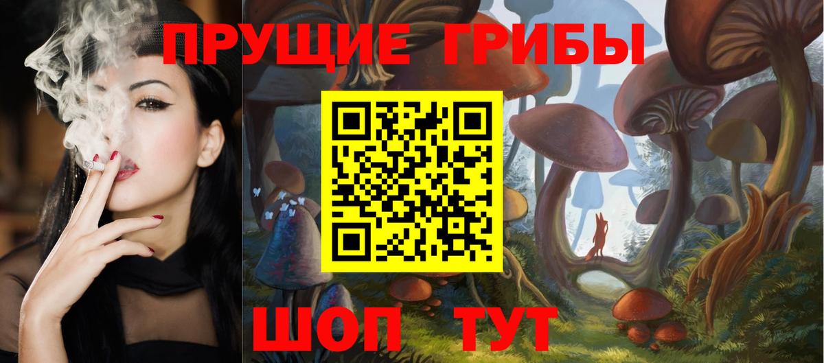 Псилоцибиновые грибы ЛСД  даркнет сайт  Новосибирск  Вход с VPN  Псилоцибиновые грибы Psilocybe 